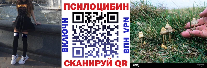 Галлюциногенные грибы прущие грибы  hydra как войти  Лыткарино 